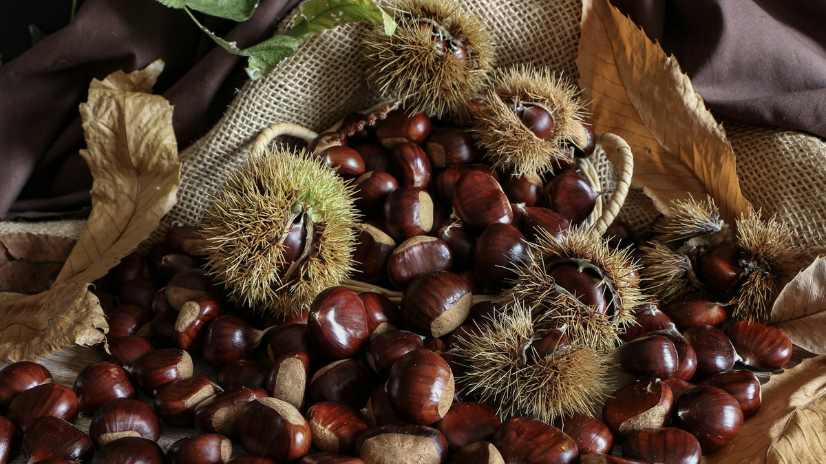 Nuts (temporary stock photo)