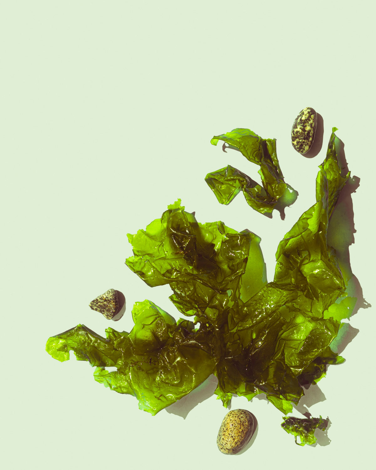 Healthy Snacks (temporary stock photo)