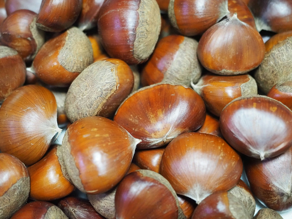 Nuts (temporary stock photo)