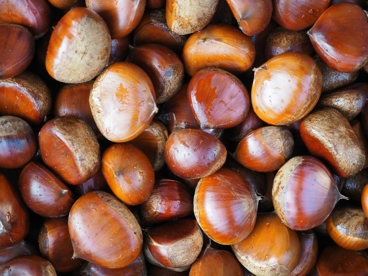 Nuts (temporary stock photo)